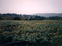 photos1990-199900102