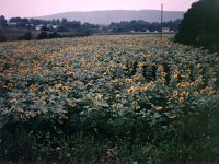 photos1990-199900103