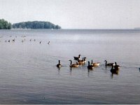 photos1990-199900144