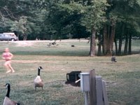 photos1990-199900177