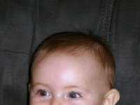 photos2010000036