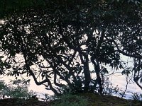 photos2010000062
