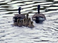 photos2010000063