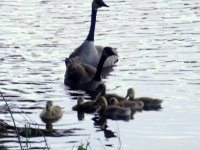 photos2010000064