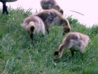 photos2010000065