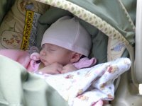 photos2010000077