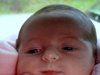 photos2010000078