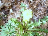 photos2010000080