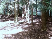 photos2010000081