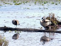 photos2010000083