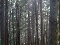 photos2010000084