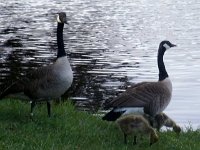 photos2010000085