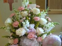 photos2010001361