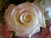 photos2010001363