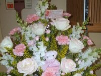 photos2010001366