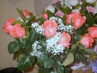 photos2010001373