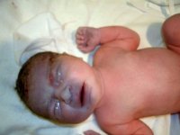photos2010001297