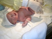 photos2010001298