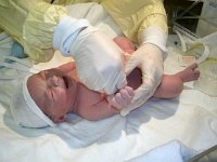 photos2010001299