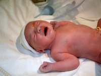 photos2010001300