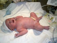 photos2010001301