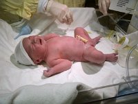 photos2010001302