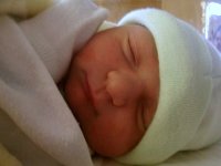 photos2010001360