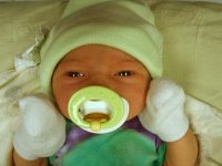 photos2010001375