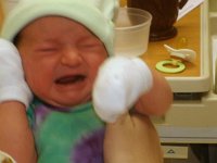 photos2010001377