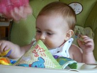 photos2010001461