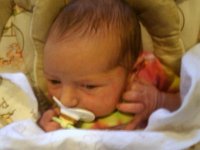photos2010001493