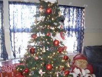 photos2010001501