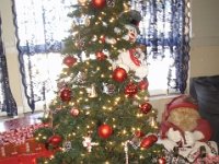 photos2010001503