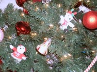 photos2010001575