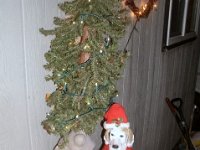 photos2010001586