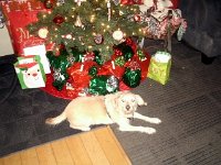 photos2010001603