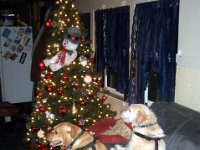 photos2010001605