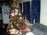 photos2010001606