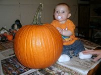 photos2010001630