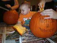 photos2010001631