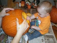 photos2010001633