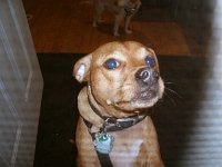photos2010001658