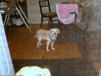 photos2010001659