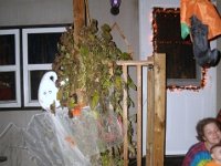 photos2010001664
