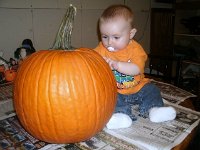 photos2010001672