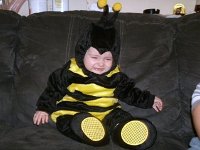 photos2010001696