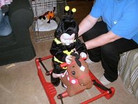 photos2010001709