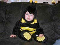 photos2010001718