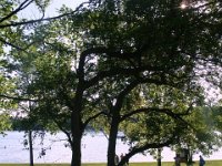 photos2010001735