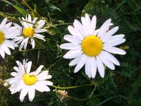 photos2010001748